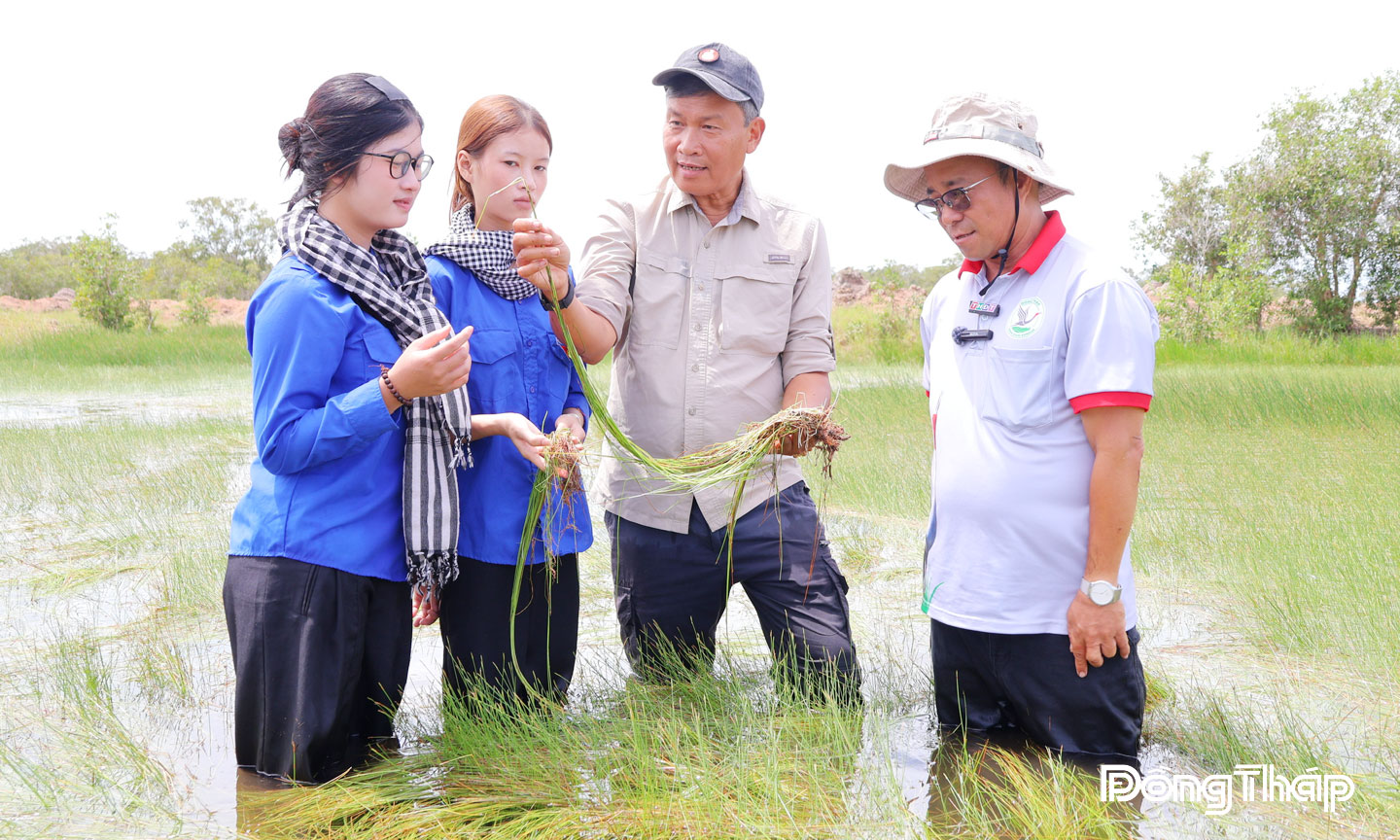 Description: Tiến sĩ Trần Triết, Giám đốc Chương trình Đông Nam Á, Hội Sếu Quốc tế (thứ 2 từ phải sang) kiểm tra thực địa về sự phục hồi của quần xã năng kim tại Vườn Quốc gia Tràm Chim.